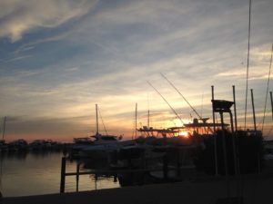 Season Sundowner 2014