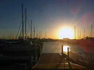 Ford & Doonan Pre Summer Launch 2013