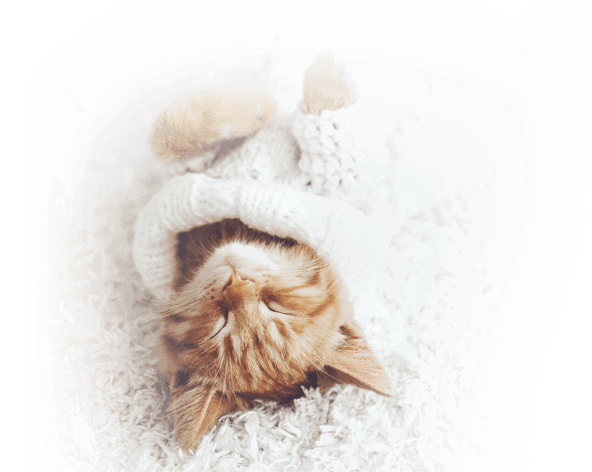 Air Conditioning Energy Saving Guide